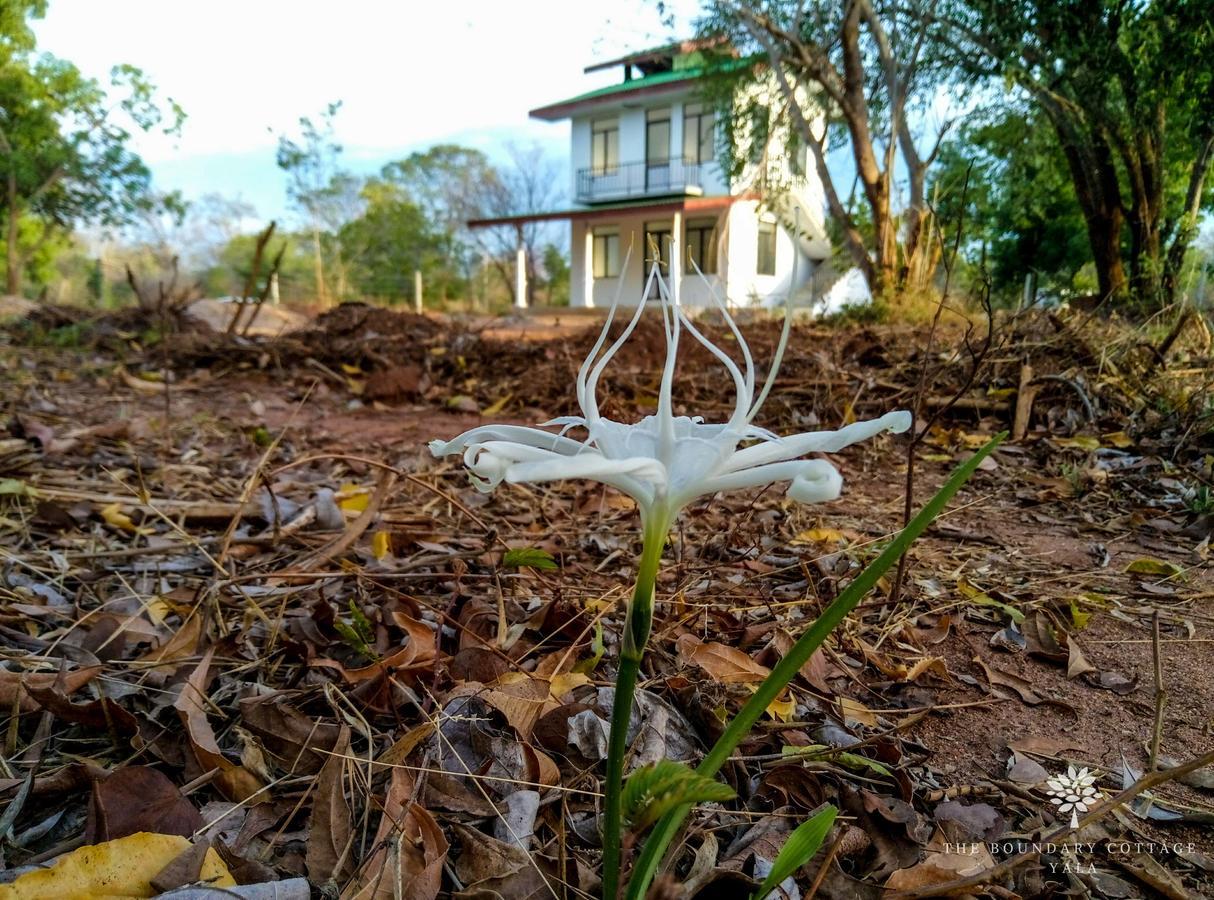 The Boundary Yala Hotel Kataragama Luaran gambar