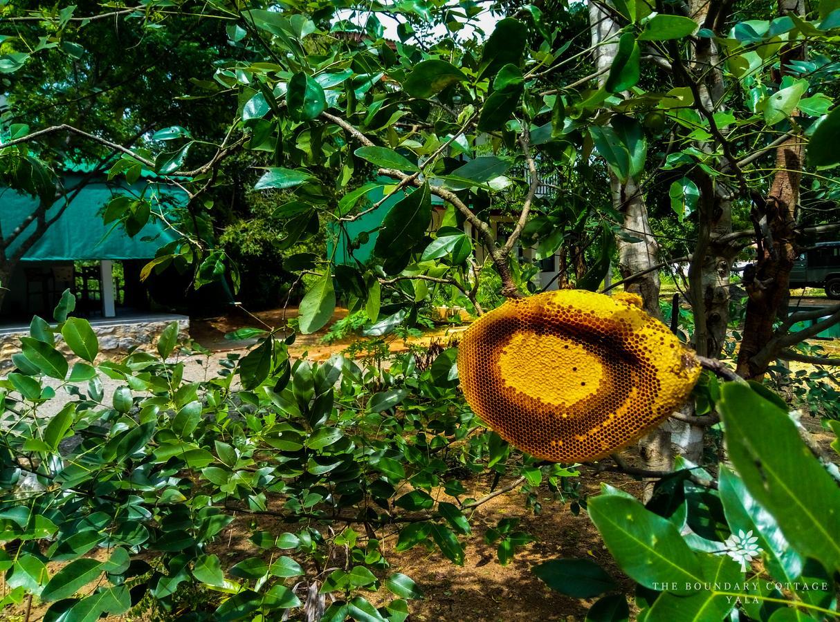 The Boundary Yala Hotel Kataragama Luaran gambar